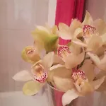 Starfish House فيلا نوفا دي غايا