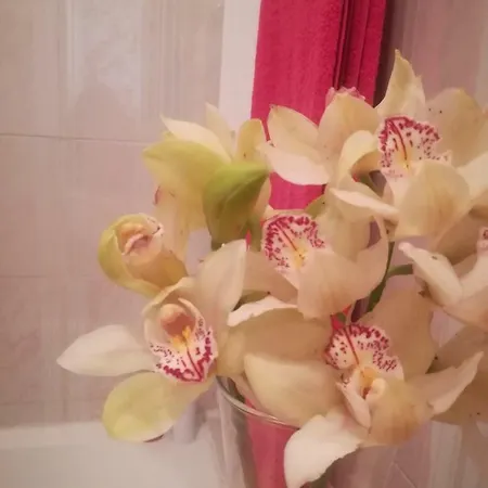 Starfish House Vila Nova de Gaia