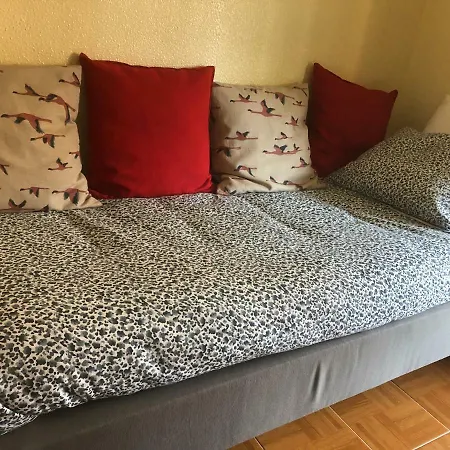 Dom wakacyjny Starfish House *